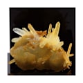 Miniatyrbillede 2 af 3: Siderite, Quartz 43,78 karat Flerfärgad