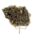 Miniatyrbillede 1 af 2: Baryt, Pyrit, Galena 352,6 karat