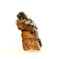Miniatyrbillede 3 af 3: Pierre - Jernholdig dolomit - Kvarts - Siderit - 263,05 ct - Mine de Chachatier, Isère
