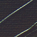 Miniatyrbillede 3 af 3: Acrylfarve - Pébéo - Studio - Brændt Dato - 100 ml - Satinér - Blandet Bränd skugga