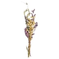 Miniatyrbillede 1 af 4: Buket af lilla tørrede blomster Flerfärgad