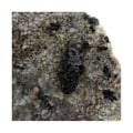Miniatyrbillede 3 af 4: Sten og mineraler. Hibonitis. 1022,0 øre. Tranomaro, Anosy, Madagaskar.