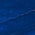 Miniatyrbillede 3 af 3: Akrylmaling - Pébéo - Studio - Phthalocyanine Blue - 100 ml - Satin Ftalocyaninblått