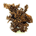 Miniatyrbillede 1 af 5: Sten og mineraler. Indfødt kobber. 659,5 øre. Rubtsovskoe, Altai Krai, Rusland.