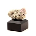 Miniatyrbillede 2 af 3: Sten og mineraler. Fluorit. 75,0 ct. Mont-Blanc-massivet (Les Droites), Frankrig.