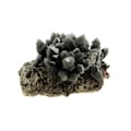 Miniatyrbillede 2 af 5: Sten og mineraler. Kvarts Prase. 1450,5 øre. Huanggang Fe-Sn-depot, Indre Mongoliet, Kina.
