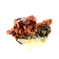 Miniatyrbillede 3 af 6: Sten og mineraler. Vanadinit. 500,0 ct. Mibladen Mining District, Midelt, Marokko.