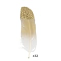 Miniatyrbillede 1 af 2: 12 guld glitter fjer gyllene
