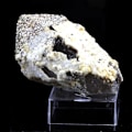Miniatyrbillede 4 af 4: Sten og mineraler. Pyrit + kvarts. 269,0 øre. Panasqueira-minerne, Covilhã, Portugal.