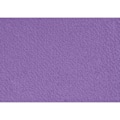 Miniatyrbild 1 av 3: Hobbyfilt - Ej specificerat - ref 45509 - Polyester - Lila - Blandad