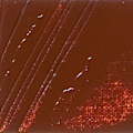 Miniatyrbillede 2 af 3: Huile Fine - Pébéo - 200022 - Sienna Brûlée - 200 ml - Hurtig tørring 3-6 dage kastanj