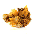 Miniatyrbillede 1 af 3: Sten og mineraler. Calcit. 285,5 øre. Cuzac, Lot, Occitanie, Frankrig.