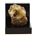 Miniatyrbillede 1 af 2: Lussatite (Opal-CT) 90,9 karat