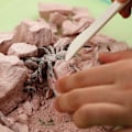 Miniatyrbillede 3 af 4: Science Discovery Kit - Grav insekter op Flerfärgad