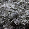 Miniatyrbillede 1 af 3: Sten og mineraler. Røgkvarts. 1530,0 øre. Mont-Blanc-massivet, Haute-Savoie, Frankrig.