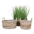 Miniatyrbillede 3 af 4: 3 rattan kurve med plastificeret inderside kastanj