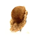 Miniatyrbild 4 av 4: Thomsonite 877,1 karat Flerfärgad