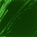Miniatyrbillede 1 af 4: XL Studio Fine Oliemaling - Emerald Phthalocyanine - 200 ml Grön