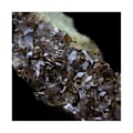 Miniatyrbillede 2 af 3: Sten og mineraler. Aksinitis. 536,0 øre. La Balme d'Auris, Bourg d'Oisans, Isère, Frankrig..