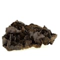 Pikkukuva 1 / 3: Kivet ja Mineraalit. Siderite. 3640,0 ct. Vizille, Isère, Ranska.