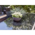Miniatyrbillede 3 af 3: EDA Graphit'UP Basin Pot Ø 25 cm - 3,3 L - Antracitgrå Kolgrå