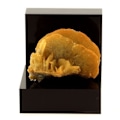 Miniatyrbillede 1 af 3: Siderite, Quartz 55,56 karat Flerfärgad