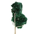 Miniatyrbillede 1 af 4: Sten og mineraler. Malakit. 203,0 øre. Katanga, Congo.