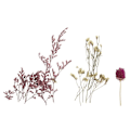 Miniatyrbillede 3 af 3: Buket med mini lyserøde tørrede blomster Flerfärgad