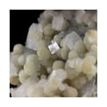 Miniatyrbillede 2 af 4: Sten og mineraler. Okenit + Prehnite. 562,5 øre. Pune, Maharashtra, Indien.