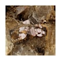Pikkukuva 2 / 3: Kivet ja mineraalit. Anatase. 218,0 ct. Les Deux Alpes, Ranska.