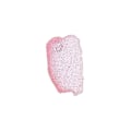 Miniatyrbillede 2 af 2: Metallic Watercolor Paint 1/2 pan - Lyserød Rosa