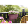 Miniatyrbild 2 av 4: ELHO - Blomkruka - Vibia Campana Easy Hanger Large - Dusty Rose - Utomhusbalkong - L 24,1 x B 46 x H 26,5 cm rosa damm