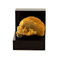 Miniatyrbillede 2 af 3: Siderite, Quartz 55,56 karat Flerfärgad
