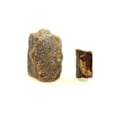 Miniatyrbillede 2 af 2: Sten og mineraler - ABIJOUX - Staurolit (2 stk) - 255.0 ct - Coët Ligné, Pontivy, Bretagne, Frankrig