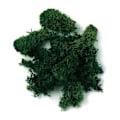 Miniatyrbillede 1 af 2: Mousse fra Island, mørkegrøn Grön