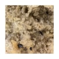 Miniatyrbillede 2 af 2: Sten og mineraler. Anatase. 321,5 øre. Plan-du-Lac, Isère, Frankrig.
