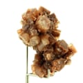 Miniatyrbillede 1 af 2: Sten og mineraler. Aragonit. 363,15 øre. Tazouta, Sefrou, Marokko.