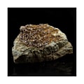 Miniatyrbillede 3 af 3: Sten og mineraler. Aksinitis. 745,5 øre. La Balme d'Auris, Bourg d'Oisans, Isère, Frankrig..