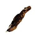 Miniatyrbillede 3 af 3: Sten og mineraler. Siderit, Kvarts, Pyrit. 645,0 ct. Saint-Pierre-de-Mésage, Isère, Frankrig..