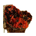 Miniatyrbild 3 av 4: Stenar och mineraler. Crocoite.179,5 ct. Adelaide Mine, Dundas, Tasmanien, Australien.