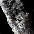 Miniatyrbillede 2 af 5: Sten og mineraler. Fluorit, Barit, Pyromorphit. 1515,5 ct. Le Rossignol, Chaillac, Indre, Frankrig.