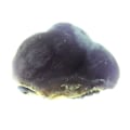 Miniatyrbillede 1 af 5: Botryoidal fluorit 2475,0 karat