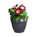 Miniatyrbild 3 av 4: ELHO Vibia Campana Easy Hanger Liten blomkruka - Antracit - Utebalkong - L 24,1 x B 20,5 x H 26,5 cm Kolgrå