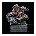 Miniatyrbillede 1 af 5: Sten og mineraler. Native kobber + Cuprit. 904,0 ct. Rubtsovskoe, Altai Krai, Rusland.