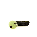 Pikkukuva 2 / 4: Kivet ja mineraalit. Prehnite + Epidote. 90,5 ct. Bendougou, Kayes, Mali.