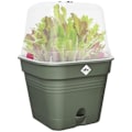 Miniatyrbild 3 av 5: Fyrkantig blomkruka GRÖN GRÖN - Plast - Reservoar - Ø20 - Bladgrön lövgrön