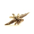 Miniatyrbillede 3 af 3: Sten og mineraler. Gips. 211,5 øre. Angervilliers, Essonne, Ile-de-France, Frankrig..