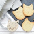 Miniatyrbild 4 av 4: Kattpräglad kakkit Grå