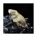 Miniatyrbillede 4 af 5: Sten og mineraler. Calcit + Sphalerit. 2947,0 øre. Elmwood Mine, Carthage, Tennessee, USA.