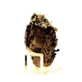 Miniatyrbillede 3 af 5: Sten og mineraler. Siderit, Kvarts, Pyrit. 1282,5 øre. Mésage Mine, Saint-Pierre-de-Mésage, Frankrig.